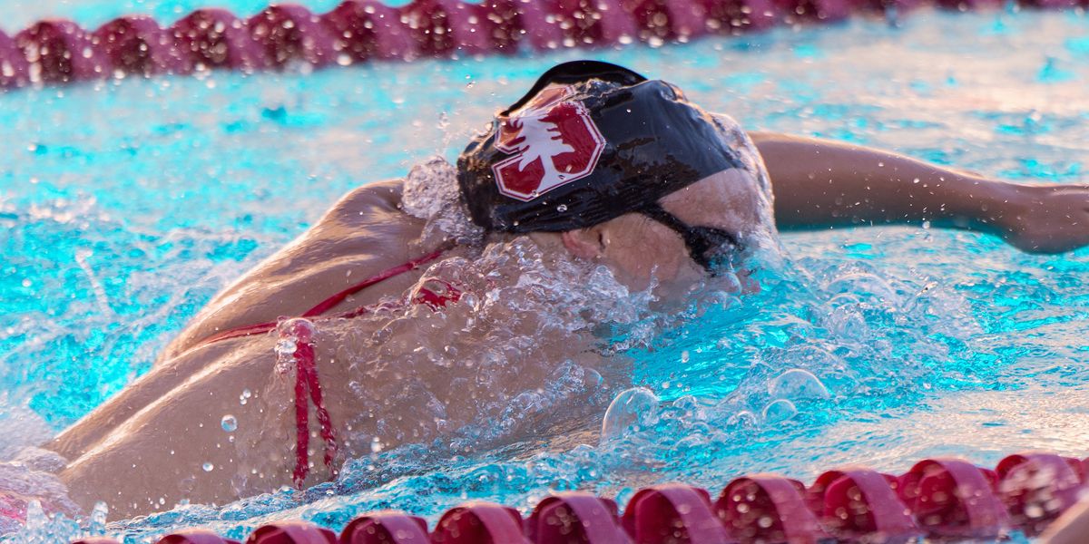 Katie Ledecky zwemt voor Stanford in een college competitie.